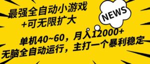 （10046期）2024最新全网独家小游戏全自动，单机40~60,稳定躺赚，小白都能月入过万-创客云联盟