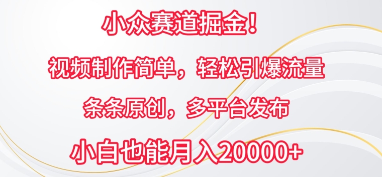 小众赛道掘金，视频制作简单，轻松引爆流量，条条原创，多平台发布-创客云联盟