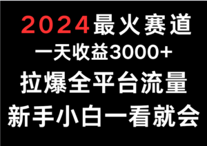 2024最火赛道,一天收一3000+.拉爆全平台流量,新手小白一看就会-创客云联盟