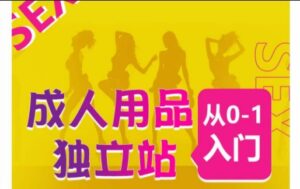 成人用品独立站从0-1入门,成品独立站运营全流程教学,七大好卖成品独立站推荐-创客云联盟