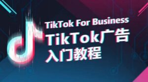 TikTok广告入门教程，从0到1掌握TikTok投放的全流程-创客云联盟