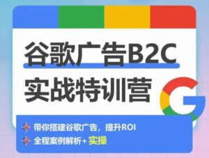谷歌广告B2C实战特训营,500+谷歌账户总结经验,实战演示如何从0-1搭建广告账户-创客云联盟