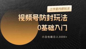 （10107期）2024视频号升级防封玩法，零基础入门，小白也能日入3000+-创客云联盟