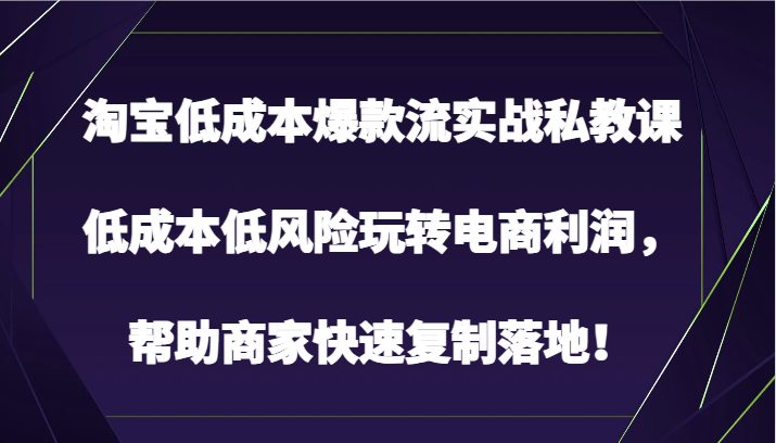 淘宝低成本爆款流实战私教课，低成本低风险玩转电商利润，帮助商家快速复制落地！-创客云联盟