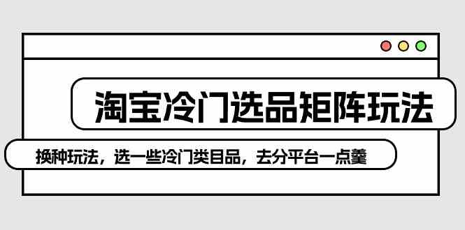 （10159期）淘宝冷门选品矩阵玩法：换种玩法，选一些冷门类目品，去分平台一点羹-创客云联盟