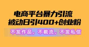 （10168期）电商平台暴力引流,被动日引400+创业粉不发作品，不截流，不发私信-创客云联盟
