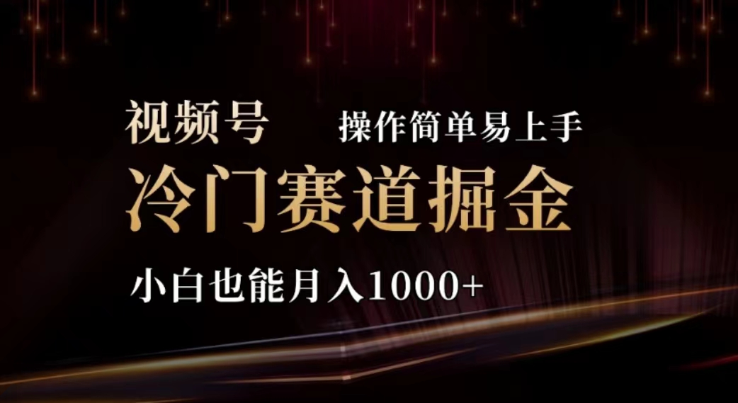 （11378期）2024视频号冷门赛道掘金，操作简单轻松上手，小白也能月入1000+-创客云联盟