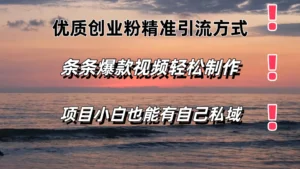 优质创业粉精准引流方式，条条视频爆款，小白也能轻松拥有自己的私域！！！-创客云联盟