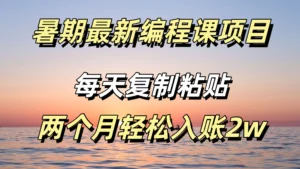 暑期最新编程课项目,简单易上手,只需复制粘贴,2w轻松到手-创客云联盟