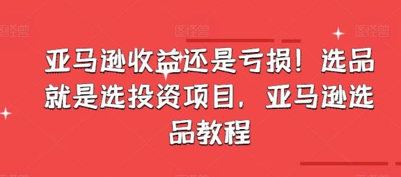 亚马逊收益还是亏损！选品就是选投资项目，亚马逊选品教程-创客云联盟