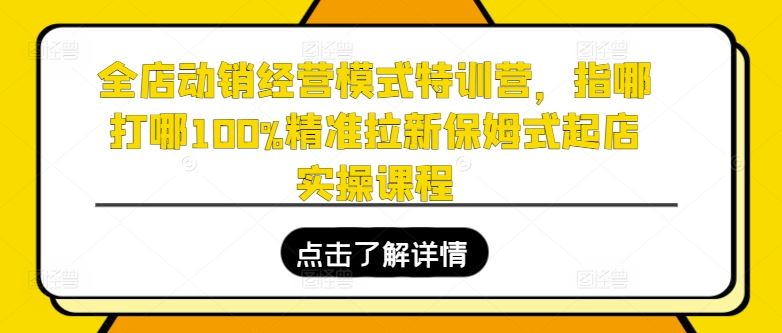 全店动销经营模式特训营，指哪打哪100%精准拉新保姆式起店实操课程-创客云联盟