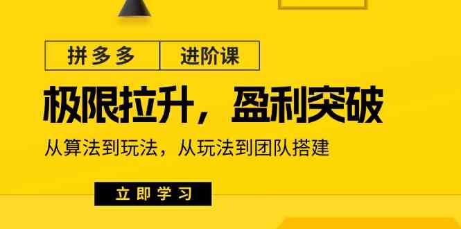 拼多多进阶课：极限拉升/盈利突破：从算法到玩法 从玩法到团队搭建（18节）-创客云联盟