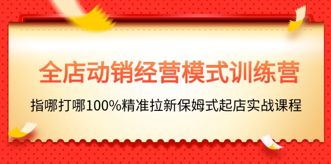 （11460期）全店动销-经营模式训练营，指哪打哪100%精准拉新保姆式起店实战课程-创客云联盟