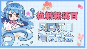 （11613期）拉新界的新玩法，风口项目，看完就会，动手就有-创客云联盟
