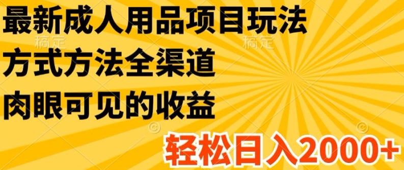 最新成人用品项目玩法，方式方法全渠道，轻松日入2K+【揭秘】-创客云联盟