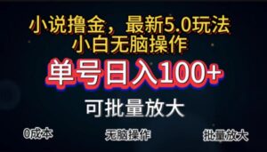 （11651期）全自动小说撸金，单号日入100+小白轻松上手，无脑操作-创客云联盟