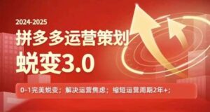 2024-2025拼多多运营策略蜕变3.0，0~1完美蜕变，解决信息焦虑-创客云联盟