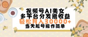 （11684期）视频号AI美女，轻松月入30000+,操作简单轻松上手-创客云联盟