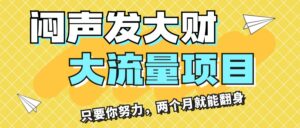（11688期）闷声发大财，大流量项目，月收益过3万，只要你努力，两个月就能翻身-创客云联盟
