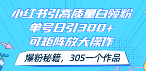 （11692期）小红书引高质量白领粉，单号日引300+，可放大操作，爆粉秘籍！30s一个作品-创客云联盟