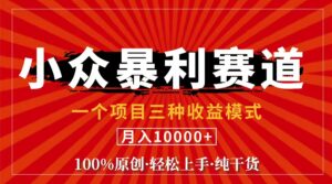(11695期)视频号【中老年粉深信不疑】小众赛道 100%原创 手把手教学 新号3天收益…-创客云联盟