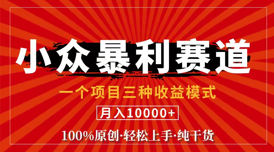 （11695期）视频号【中老年粉深信不疑】小众赛道 100%原创 手把手教学 新号3天收益…-创客云联盟