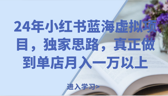 24年小红书蓝海虚拟项目，独家思路，真正做到单店月入一万以上。-创客云联盟