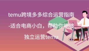 temu跨境多多综合运营指南-适合电商小白，帮助你能够独立运营temu(44节)-创客云联盟