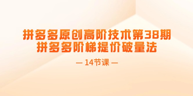 （11704期）拼多多原创高阶技术第38期，拼多多阶梯提价破量法（14节课）-创客云联盟