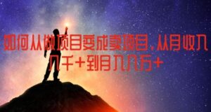 如何从做项目变成卖项目,从月收入几千到月入几万【揭秘】-创客云联盟