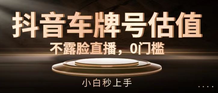 抖音车牌号估值，不露脸直播，0门槛，小白秒上手【揭秘】-创客云联盟