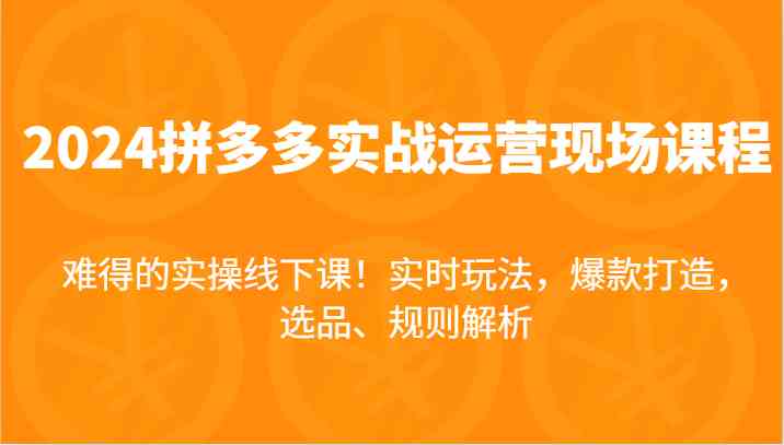 2024拼多多实战运营现场课，实时玩法，爆款打造，选品、规则解析，难得的实操线下课！-创客云联盟