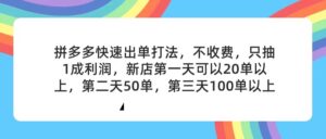 （11681期）拼多多2天起店，只合作不卖课不收费，上架产品无偿对接，只需要你回…-创客云联盟