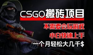 CSGO 装备搬砖项目,操作简单,不需要会玩游戏,小白也能快速上手,一个月轻松大几千【揭秘】-创客云联盟