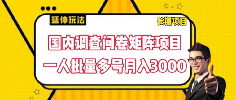 国内调查问卷矩阵项目，一人批量多号月入3000【揭秘】-创客云联盟