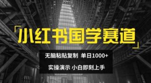 小红书国学赛道，无脑粘贴复制，单日1K，实操演示，小白即刻上手【揭秘】-创客云联盟
