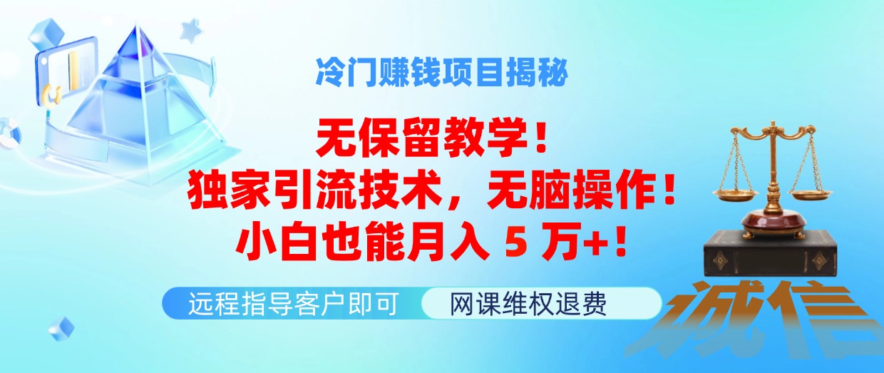 （11864期）冷门赚钱项目无保留教学！独家引流技术，无脑操作！小白也能月入5万+！-创客云联盟