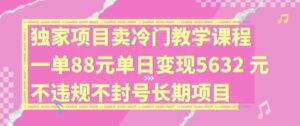 独家项目卖冷门教学课程一单88元单日变现5632元违规不封号长期项目【揭秘】-创客云联盟