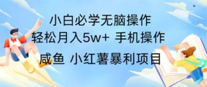 （11953期）2024热门暴利手机操作项目，简单无脑操作，每单利润最少500-创客云联盟