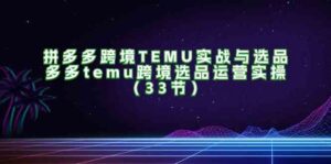 拼多多跨境TEMU实战与选品，多多temu跨境选品运营实操（33节）-创客云联盟