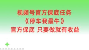 视频号官方保底任务，停车我最牛，官方保底只要做就有收益【揭秘】-创客云联盟