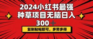 （12336期）2024小红书最强种草项目，无脑日入300+，复制粘帖即可，多劳多得-创客云联盟