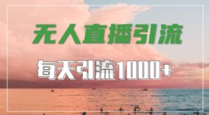 抖音快手视频号全平台通用,无人直播引流法,超暴力引流1000+高质量精准创业粉【揭秘】-创客云联盟