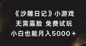 《沙雕日记》小游戏，无需露脸免费试玩，小白也能月入5000+【揭秘】-创客云联盟