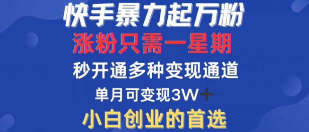快手暴力起万粉，涨粉只需一星期，多种变现模式，直接秒开万合，单月变现过W【揭秘】-创客云联盟