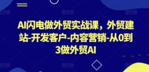 AI闪电做外贸实战课，​外贸建站-开发客户-内容营销-从0到3做外贸AI(更新)-创客云联盟