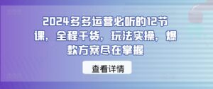 2024多多运营必听的12节课，全程干货，玩法实操，爆款方案尽在掌握-创客云联盟