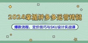 2024掌握拼多多运营精髓：爆款流程、定价技巧与SKU设计实战课-创客云联盟