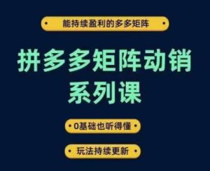 拼多多矩阵动销系列课，能持续盈利的多多矩阵，0基础也听得懂，玩法持续更新-创客云联盟