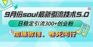 9月份soul最新引流技术5.0，日稳定引流300+创业粉，加爆微信，卷死同行-创客云联盟
